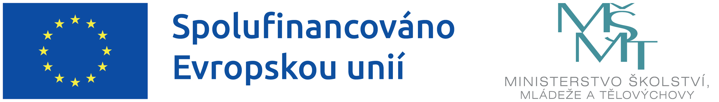 EU_MSMT